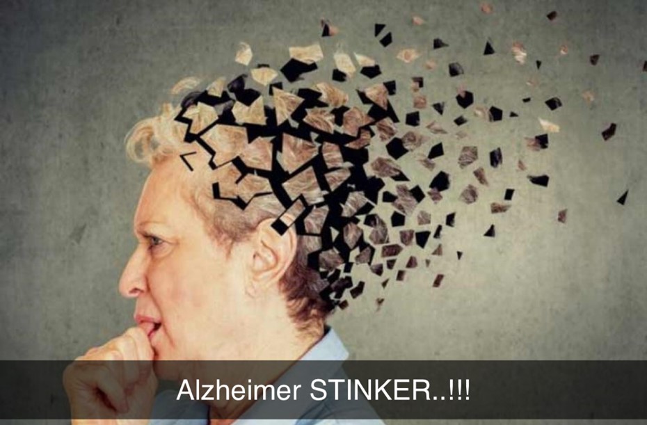 Lillemors Alzheimers indsamling